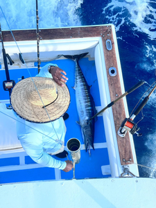 Hooked on the DR’s deep sea treasures! 